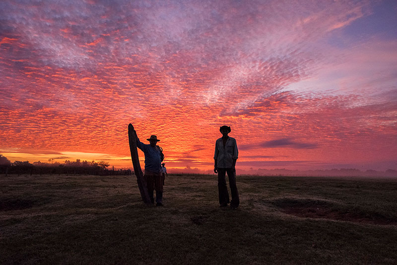 Vaqueiros de Comitiva/Corumbá-MS, 2017