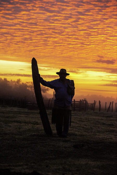 Vaqueiros de Comitiva/Corumbá-MS, 2017